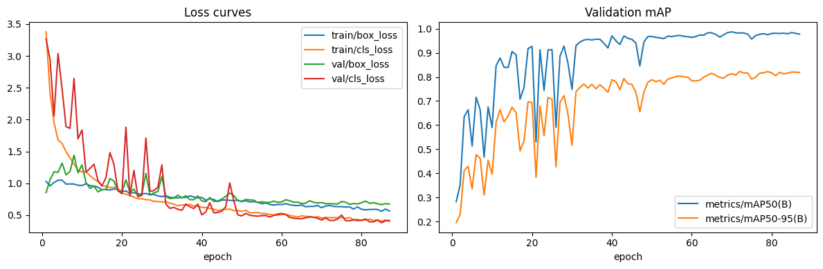Batch 05 training curves