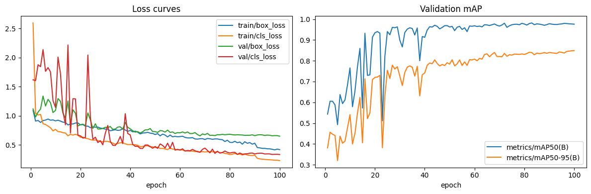 Batch 06 training curves